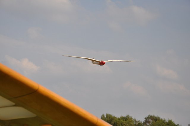 DSC_5631 (800x531)